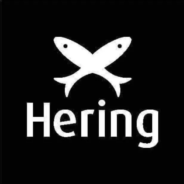 Logomarca de Hering Store